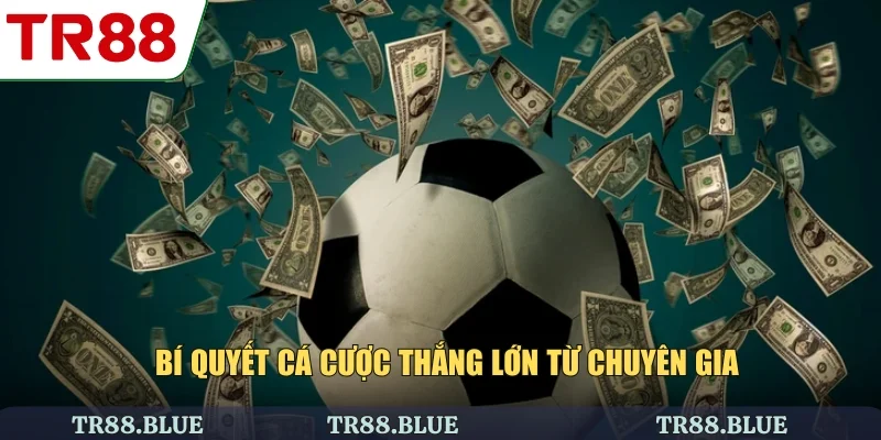 Bí quyết cá cược thắng lớn từ chuyên gia