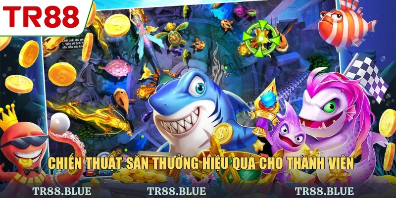 Chiến thuật săn thưởng hiệu quả cho thành viên