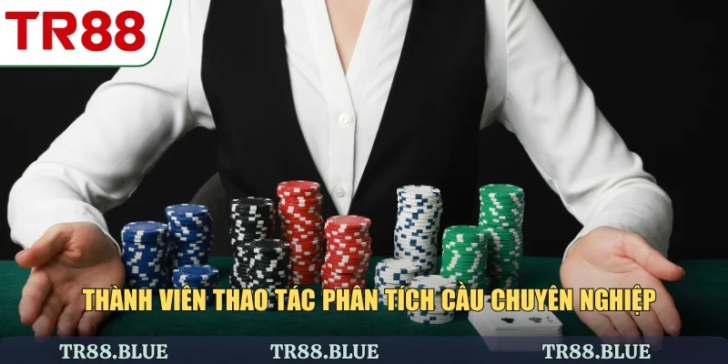 Thành viên thao tác phân tích cầu chuyên nghiệp