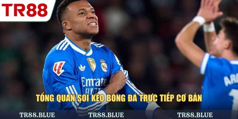 Tổng quan soi kèo bóng đá trực tiếp cơ bản